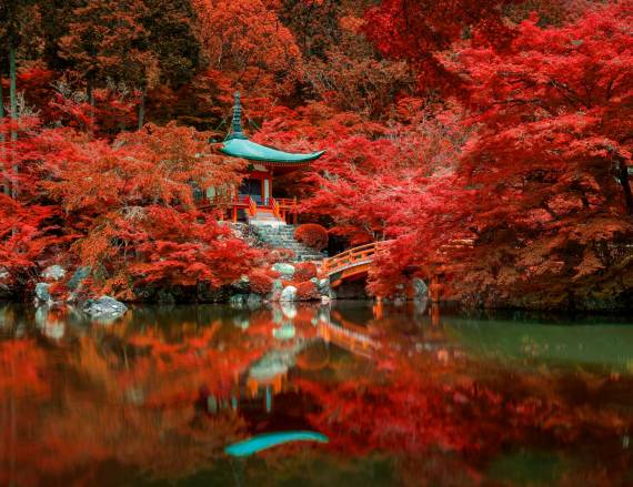 autumn-foliage-at-daigo-ji-temple-kyoto-japan-DNMX6GE.jpg
